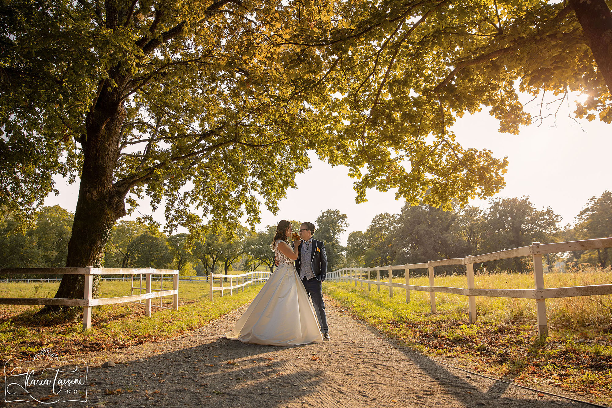 matrimonio lipica sposi ritratto